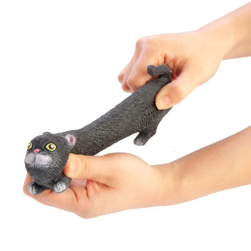 Stretchy the Cat (GST/HST break)